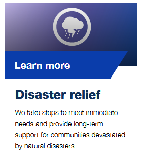 Disaster Relief Block (300X300)