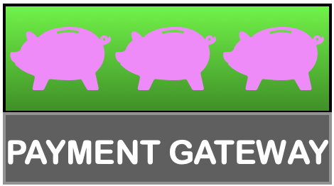 Payment Gateway