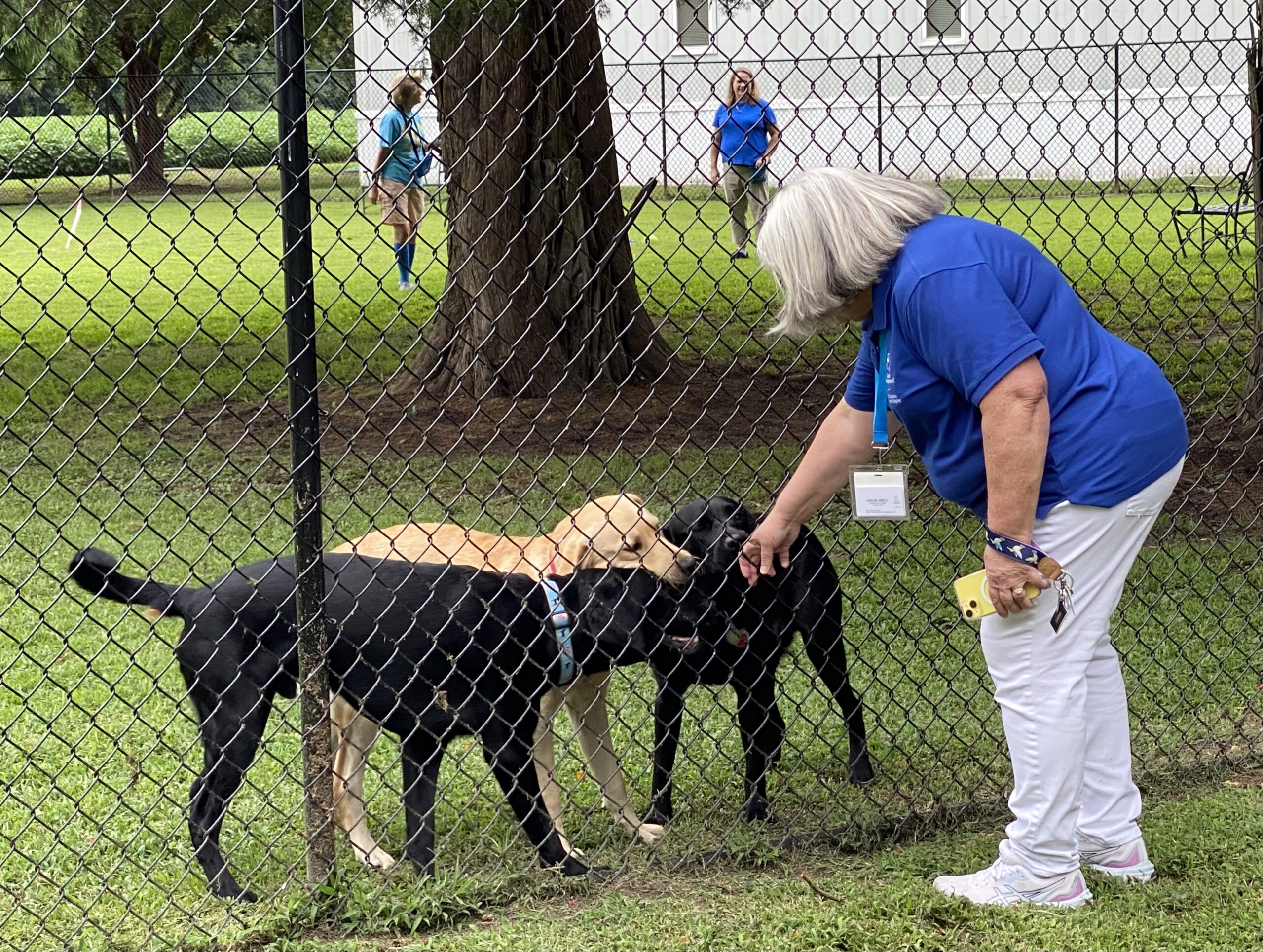 Canine Companions in Matthews